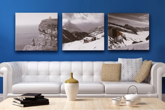 Canvas Prints
